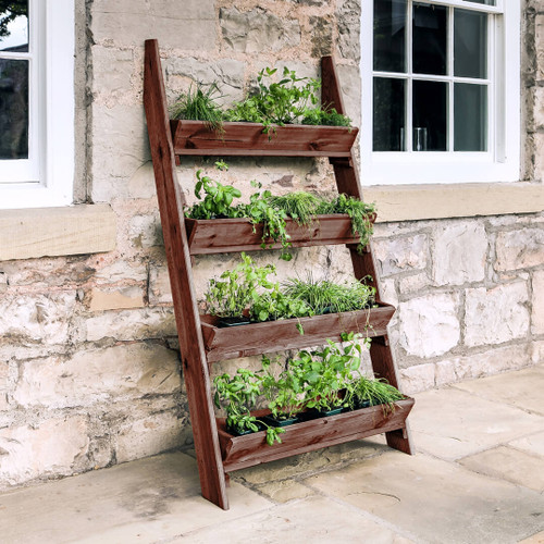Ladder Planter in Brown