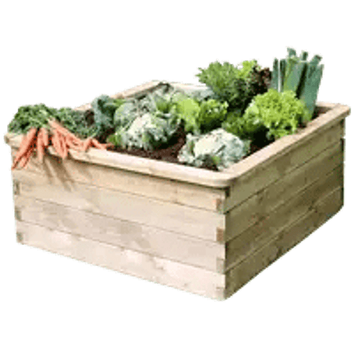 Grow Your Own & Planters