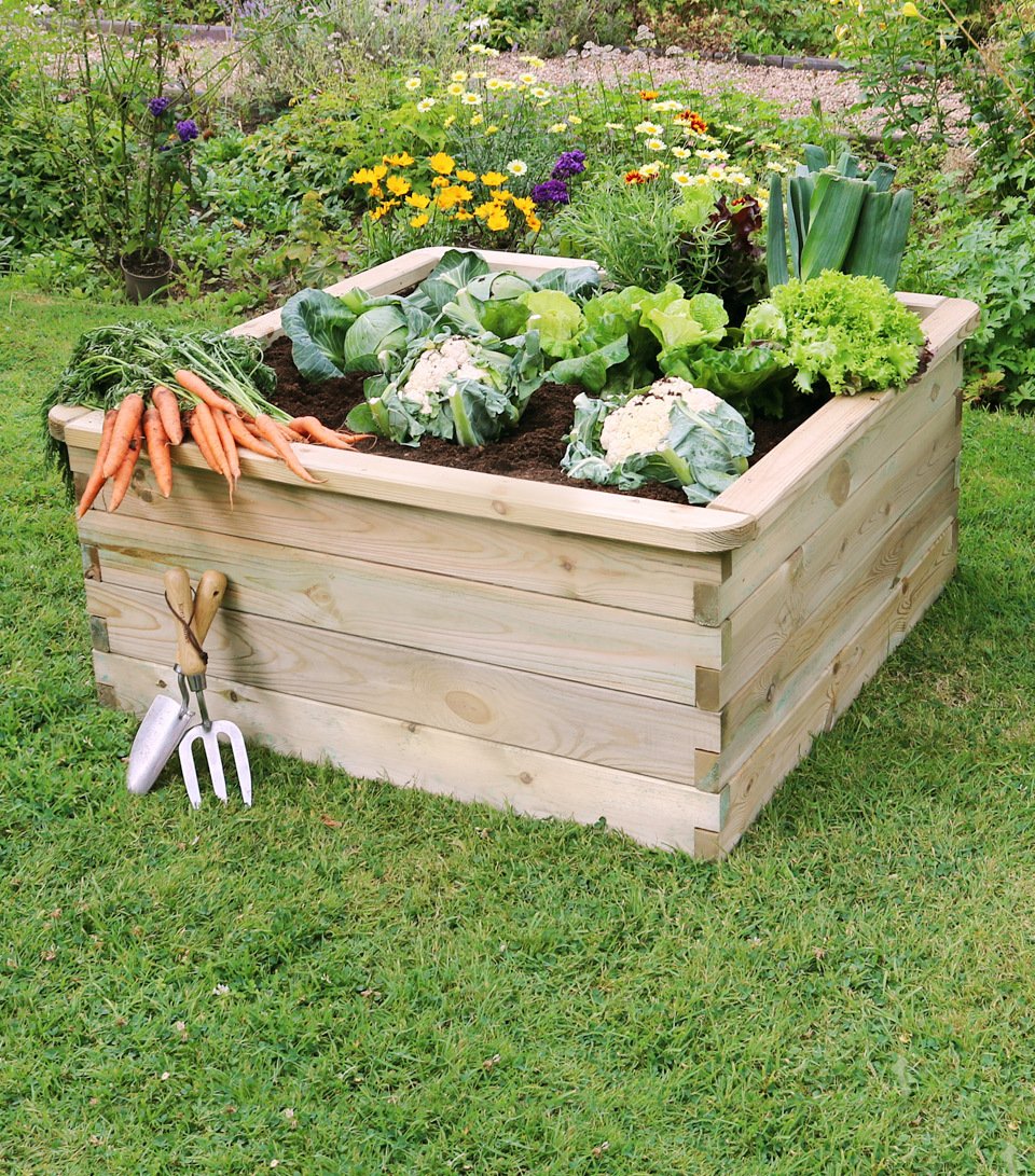 Grow Your Own
