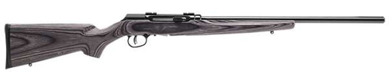 Savage Arms A17 Sporter Semi-Auto 17 HMR Caliber with 10+1 Capacity, 22" Barrel, Satin Black Metal Finish & Gray Laminate Stock