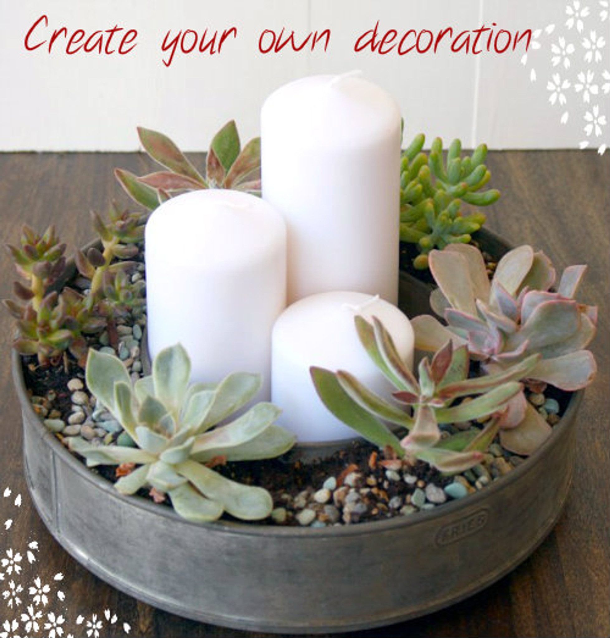 Example of planted Succulents To create nice decoration.