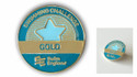 This is the Swim England Swimming Challenge Gold Award pin badge, which is a small badge that can be attached to clothing or accessories.