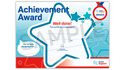 Blank Achievement Award (without badge)