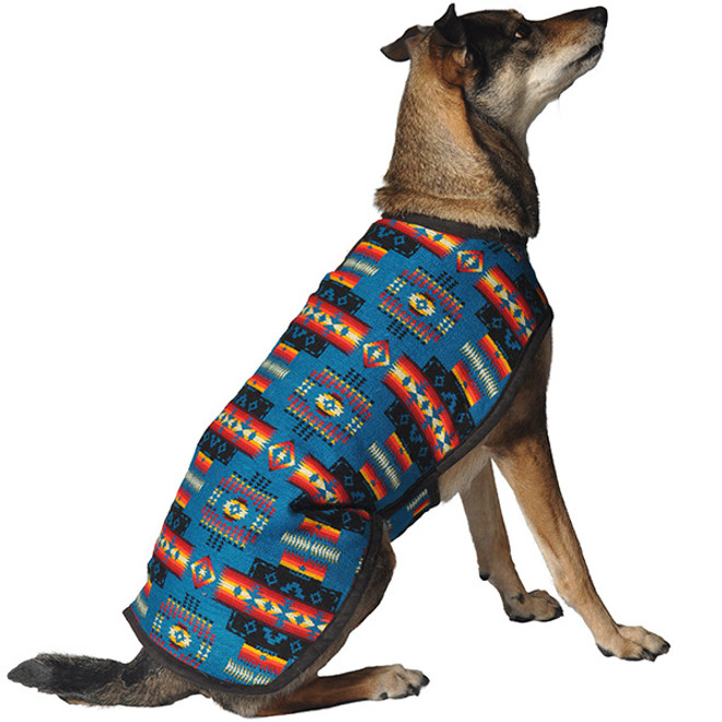Turquoise Southwest Blanket Dog Coat