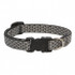 Lupine 1/2" Collar Assorted Colors
