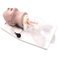 Life/form  “Airway Larry” Adult A/M Trainer with Stand