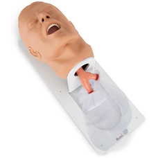 Simulaids Economy Adult Airway Trainer