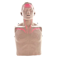 Brayden LED CPR Maniken with Blood Flow Circulation