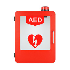 Alarmed AED Wall Cabinet