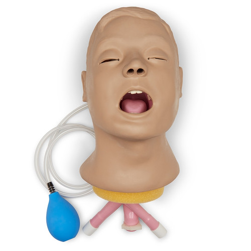 Life/form Airway Larry Adult A/M Trainer Head