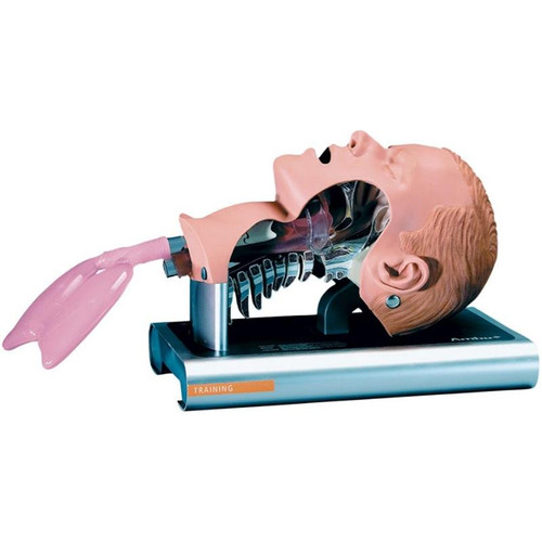 Ambu  Airway Management Trainer