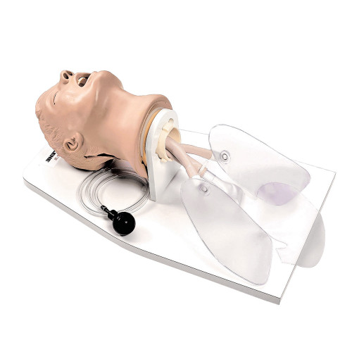 Stand for Airway Larry Airway Management Trainer