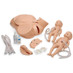 Gaumard  Advanced Childbirth Simulator