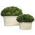 Uttermost 60107 Preserved Boxwood Oval Domes Accessory
