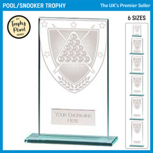 CR20388 Pool / Snooker Trophy