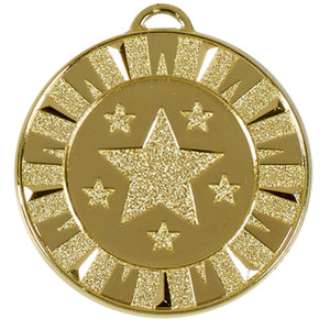 AM941G Medal