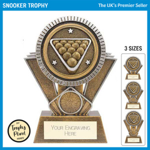 PM24161 Snooker Trophy
