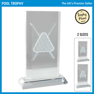 CR24181 Snooker / Pool Trophy