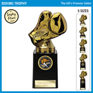 TH26538 Boxing Trophy