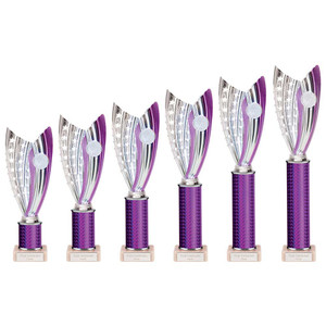 TR23556 Multi Sport Trophy