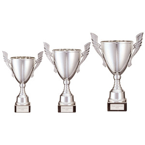 TR22169 Presentation Cup