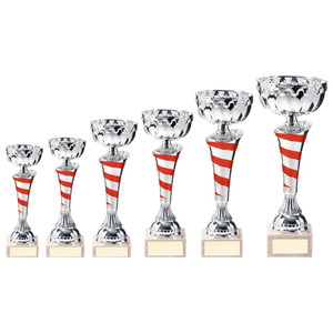 TR20311 Presentation Cup