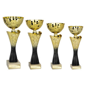 TR25576 Multi Sport Cup