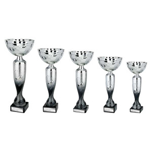 TR25654 Multi Sport Cup
