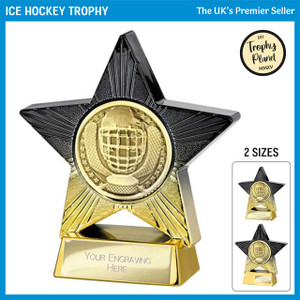 PA25064 Ice Hockey Trophy