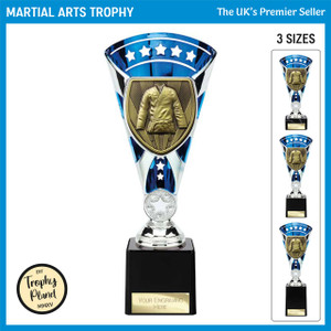 TB24201 Martial Arts Trophy
