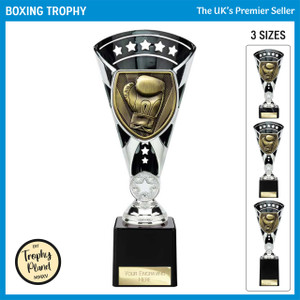 TR24213 Boxing Trophy