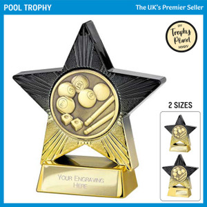 PA25073 Pool Trophy