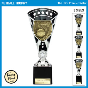 TR25137 Netball Trophy