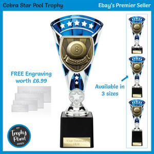 TB24204 Pool Trophy