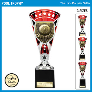 TD24204 Pool Trophy