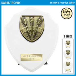 PT24205 Darts Trophy
