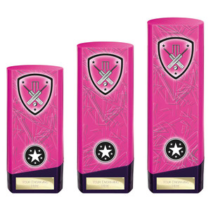 PX25442 Cricket Trophy