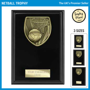 PL25137 Netball Trophy