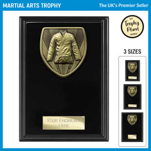 PL24201 Martial Arts Trophy