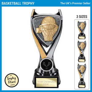 PA25012 Basketball Trophy