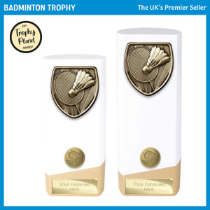PW24221 Badminton Trophy