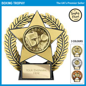 PL25063 Boxing Trophy