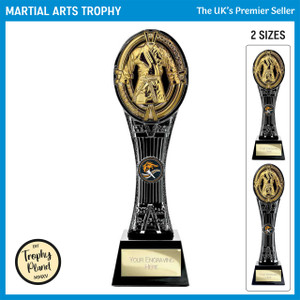 PA26520 Martial Arts Trophy