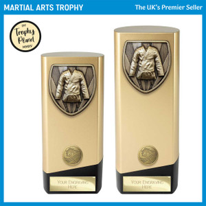 PA24201 Martial Arts Trophy