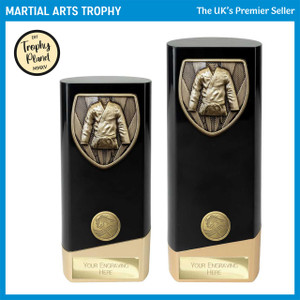 PK24201 Martial Arts Trophy