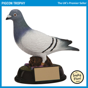 RF4157 Pigeon Trophy