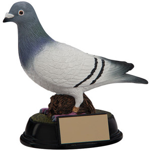 RF4157 Pigeon Trophy