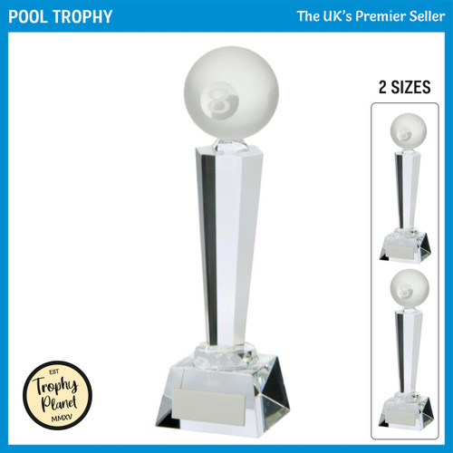 CR17118 Pool Trophy