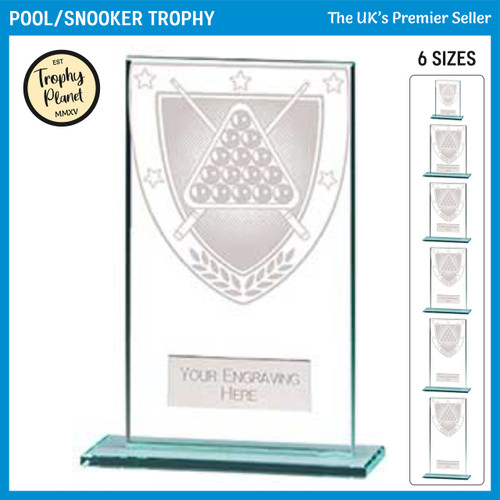 CR20388 Pool / Snooker Trophy