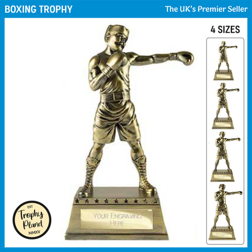 RF26046 Boxing Trophy